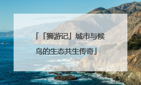 「狮游记」城市与候鸟的生态共生传奇