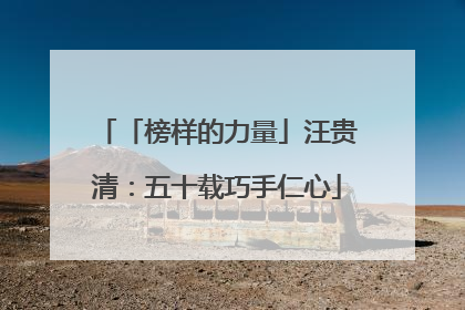 「榜样的力量」汪贵清：五十载巧手仁心