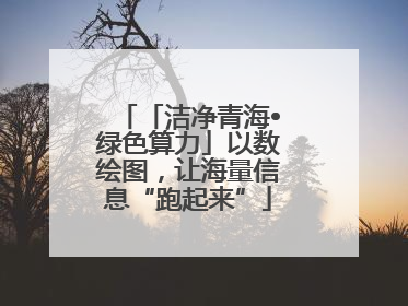 「洁净青海•绿色算力」以数绘图，让海量信息“跑起来”