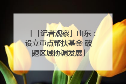 「记者观察」山东：设立重点帮扶基金 破题区域协调发展