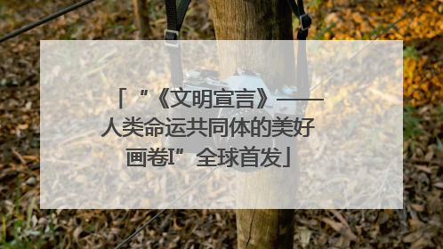 “《文明宣言》——人类命运共同体的美好画卷I”全球首发