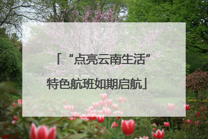 “点亮云南生活”特色航班如期启航