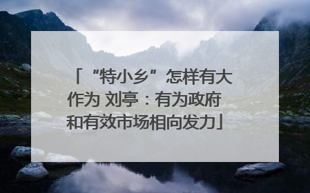 “特小乡”怎样有大作为 刘亭：有为政府和有效市场相向发力