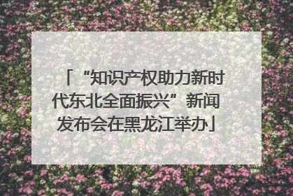 “知识产权助力新时代东北全面振兴”新闻发布会在黑龙江举办
