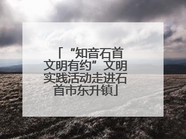 “知音石首 文明有约”文明实践活动走进石首市东升镇