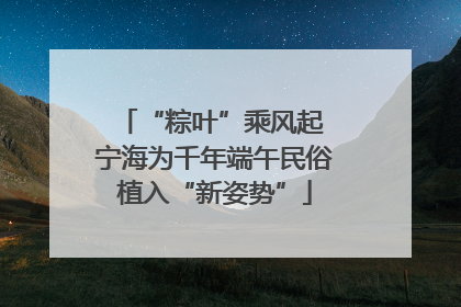 “粽叶”乘风起 宁海为千年端午民俗植入“新姿势”
