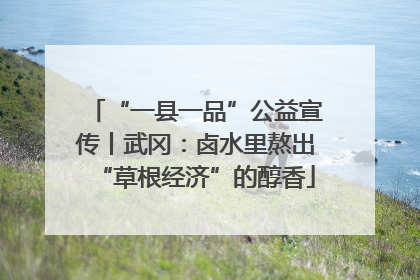 “一县一品”公益宣传丨武冈：卤水里熬出“草根经济”的醇香