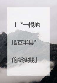 “一根地瓜富半县”的新实践