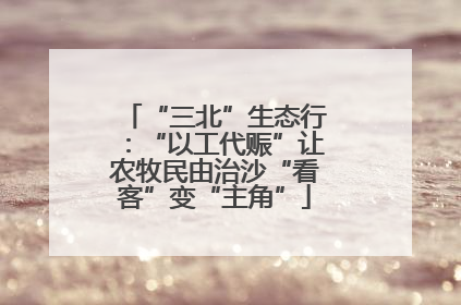 “三北”生态行：“以工代赈”让农牧民由治沙“看客”变“主角”