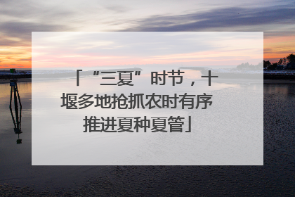 “三夏”时节，十堰多地抢抓农时有序推进夏种夏管