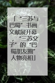 “三苏与巴蜀”书画文献展开幕，“三苏父子”的“巴蜀朋友圈”人物亮相