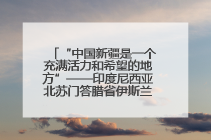 “中国新疆是一个充满活力和希望的地方”——印度尼西亚北苏门答腊省伊斯兰教代表团参访新疆