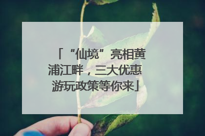 “仙境”亮相黄浦江畔，三大优惠游玩政策等你来