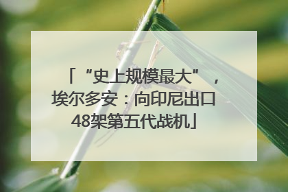 “史上规模最大”，埃尔多安：向印尼出口48架第五代战机