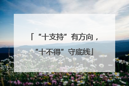 “十支持”有方向，“十不得”守底线
