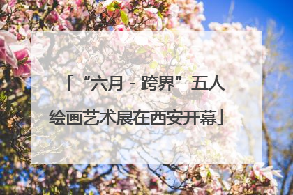 “六月 - 跨界”五人绘画艺术展在西安开幕