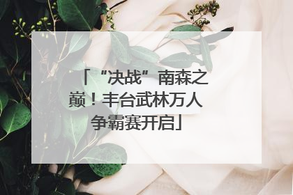 “决战”南森之巅！丰台武林万人争霸赛开启