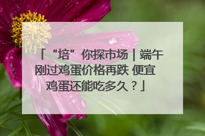“培”你探市场｜端午刚过鸡蛋价格再跌 便宜鸡蛋还能吃多久？