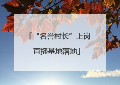 “名誉村长”上岗 直播基地落地