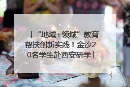 “地域+领域”教育帮扶创新实践！金沙20名学生赴西安研学