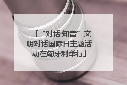 “对话·知音”文明对话国际日主题活动在匈牙利举行