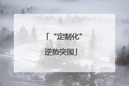 “定制化” 逆势突围
