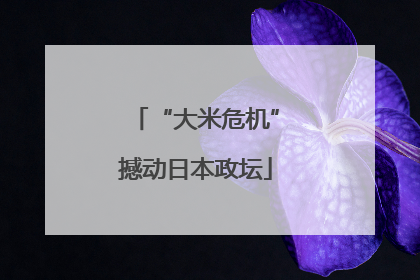 “大米危机”撼动日本政坛