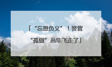 “忘恩负义”！警营“孤傲”燕隼飞走了