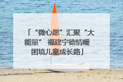 “微心愿”汇聚“大能量” 福建宁德情暖困境儿童成长路