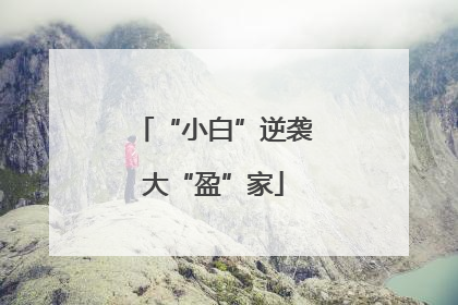 “小白”逆袭大“盈”家