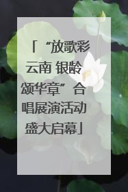 “放歌彩云南 银龄颂华章”合唱展演活动盛大启幕