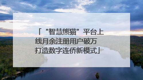 “智慧熊猫”平台上线月余注册用户破万 打造数字连侨新模式