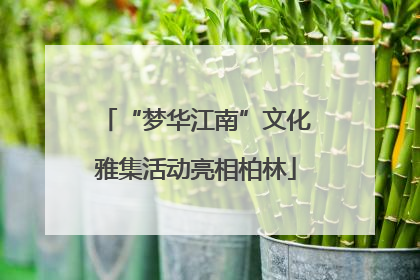 “梦华江南”文化雅集活动亮相柏林