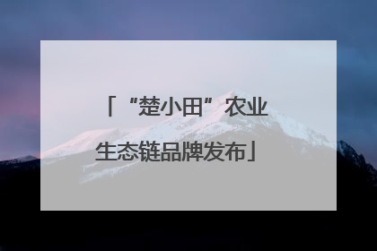 “楚小田”农业生态链品牌发布
