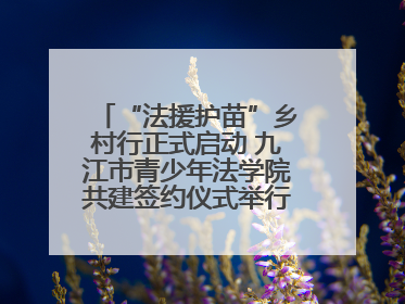 “法援护苗”乡村行正式启动 九江市青少年法学院共建签约仪式举行（组图）
