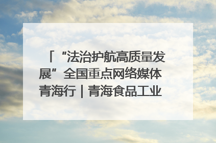 “法治护航高质量发展”全国重点网络媒体青海行｜青海食品工业协会：架起“青字号”美食的产业化桥梁