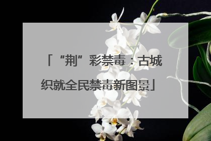 “荆”彩禁毒：古城织就全民禁毒新图景