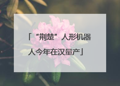 “荆楚”人形机器人今年在汉量产