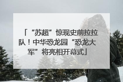 “苏超”惊现史前拉拉队！中华恐龙园“恐龙大军”将亮相开幕式