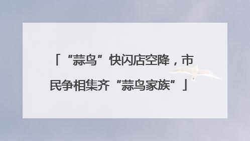“蒜鸟”快闪店空降，市民争相集齐“蒜鸟家族”