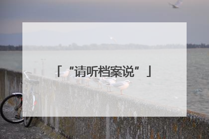 “请听档案说”