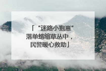 “迷路小狍崽”落单蜷缩草丛中，民警暖心救助