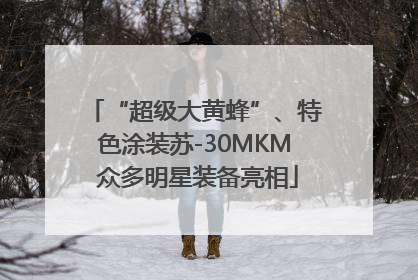 “超级大黄蜂”、特色涂装苏-30MKM 众多明星装备亮相