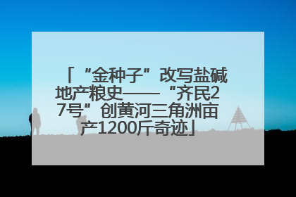 “金种子”改写盐碱地产粮史——“齐民27号”创黄河三角洲亩产1200斤奇迹