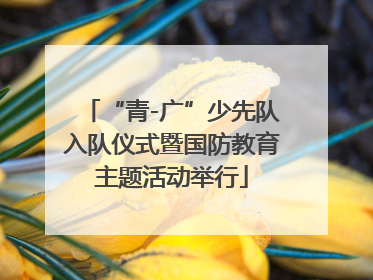 “青-广”少先队入队仪式暨国防教育主题活动举行