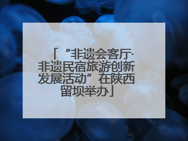 “非遗会客厅·非遗民宿旅游创新发展活动”在陕西留坝举办