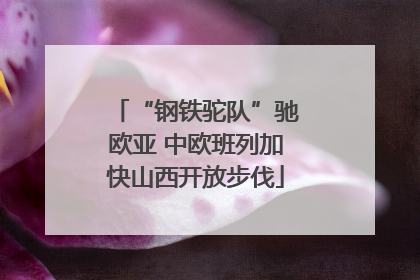 “钢铁驼队”驰欧亚 中欧班列加快山西开放步伐