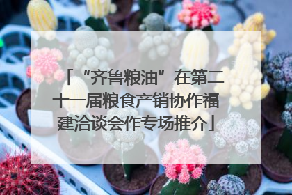 “齐鲁粮油”在第二十一届粮食产销协作福建洽谈会作专场推介