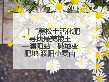 “黑松土活化肥”寻找最美粮王——濮阳站：碱地变肥地 濮阳小麦亩产1500多斤
