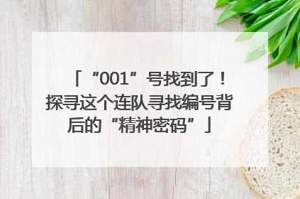 “001”号找到了！探寻这个连队寻找编号背后的“精神密码”